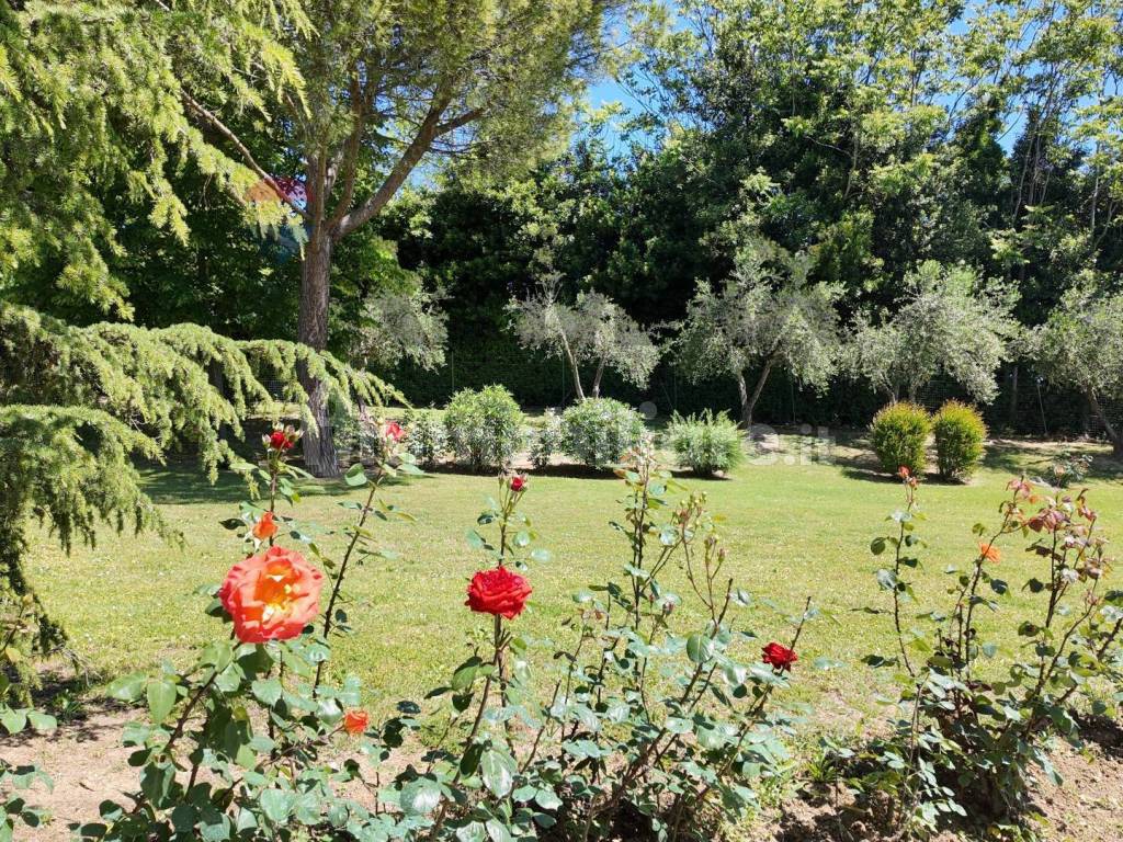 Giardino