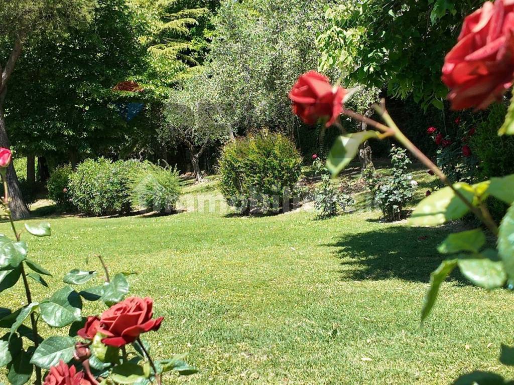 Giardino