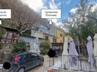 Zona