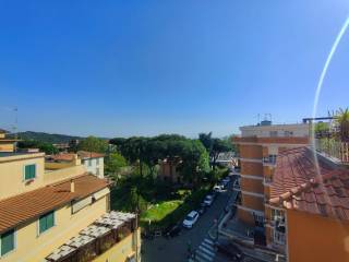 Vista