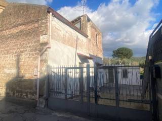Zona