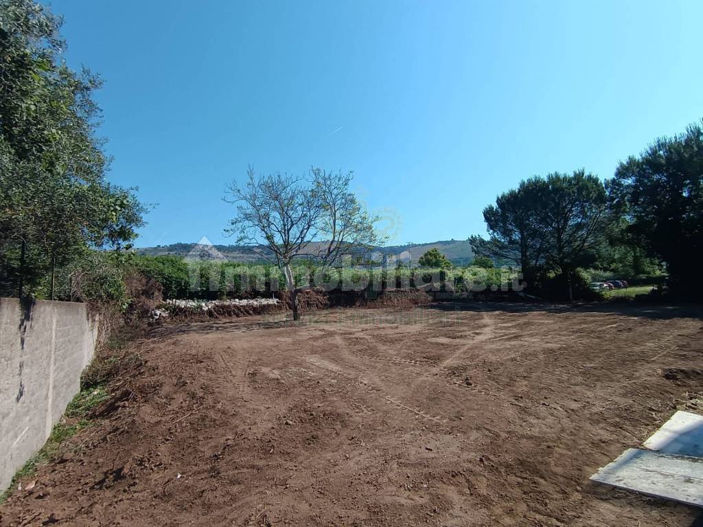 Terreno