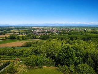 Vista