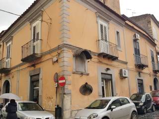 Zona