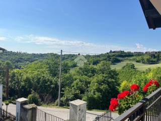 Vista