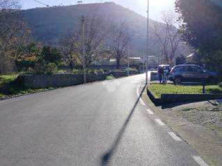Zona