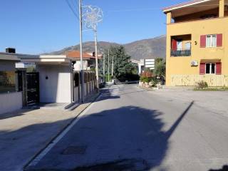 Zona