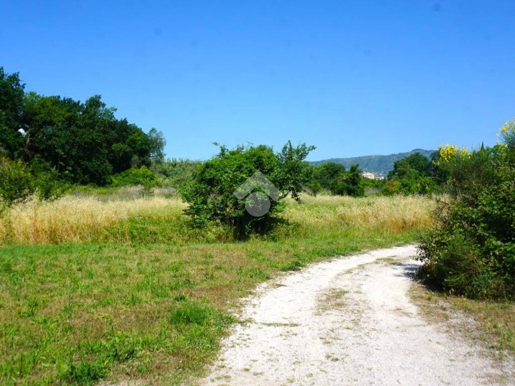 Terreno