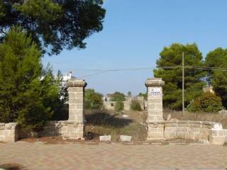 Zona