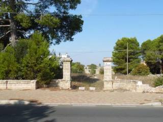 Zona