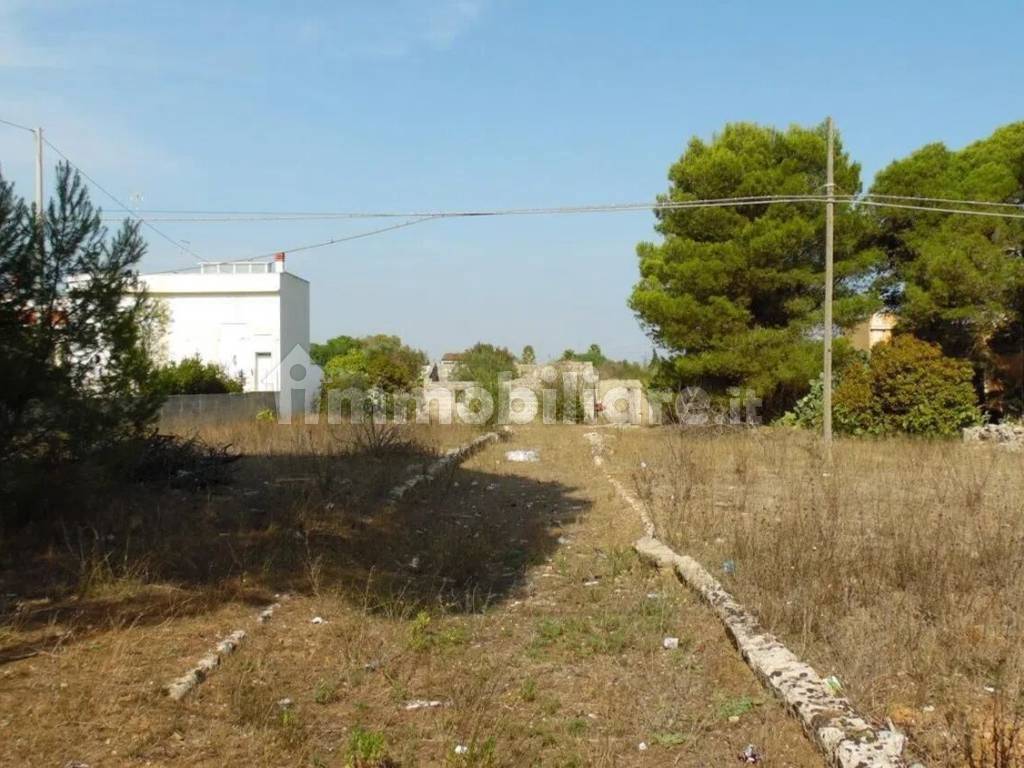 Terreno