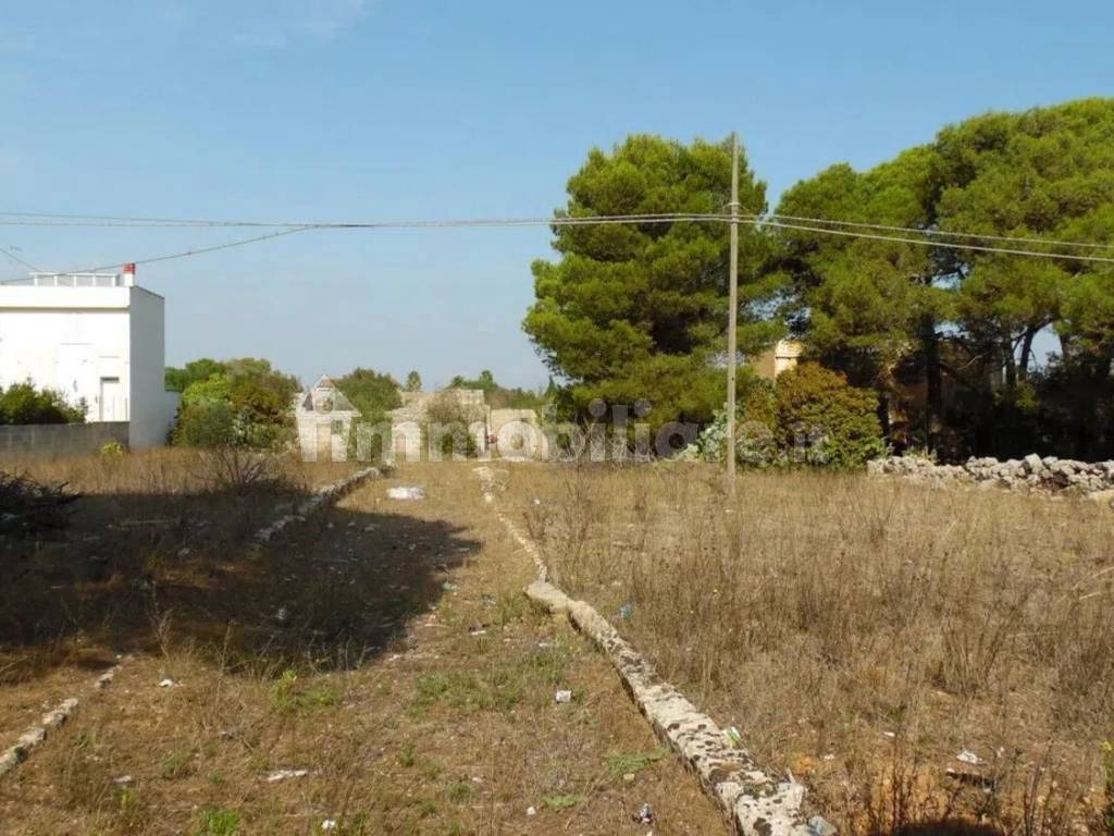 Terreno