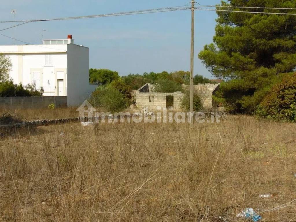 Terreno