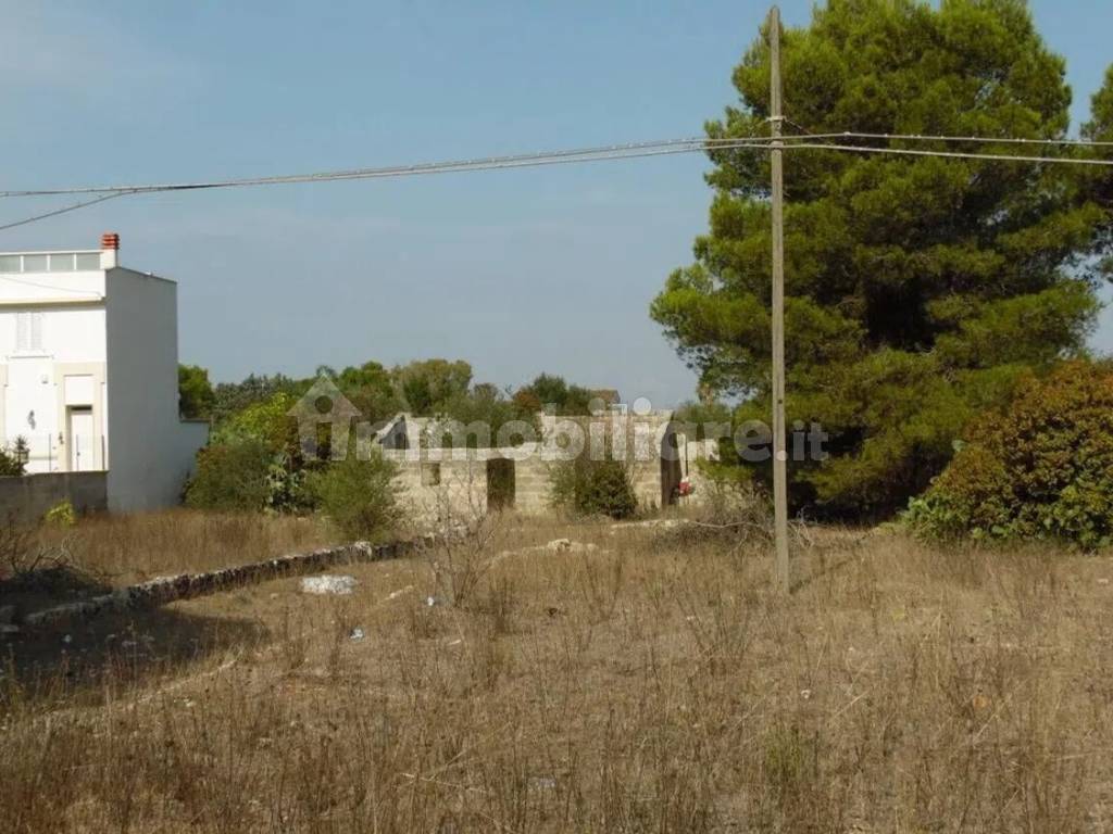 Terreno