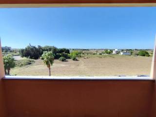 Vista