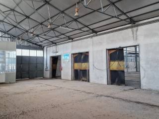 Magazzino