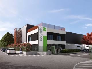 Zona
