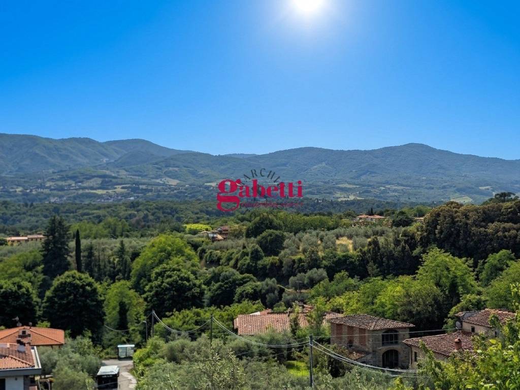 Vista