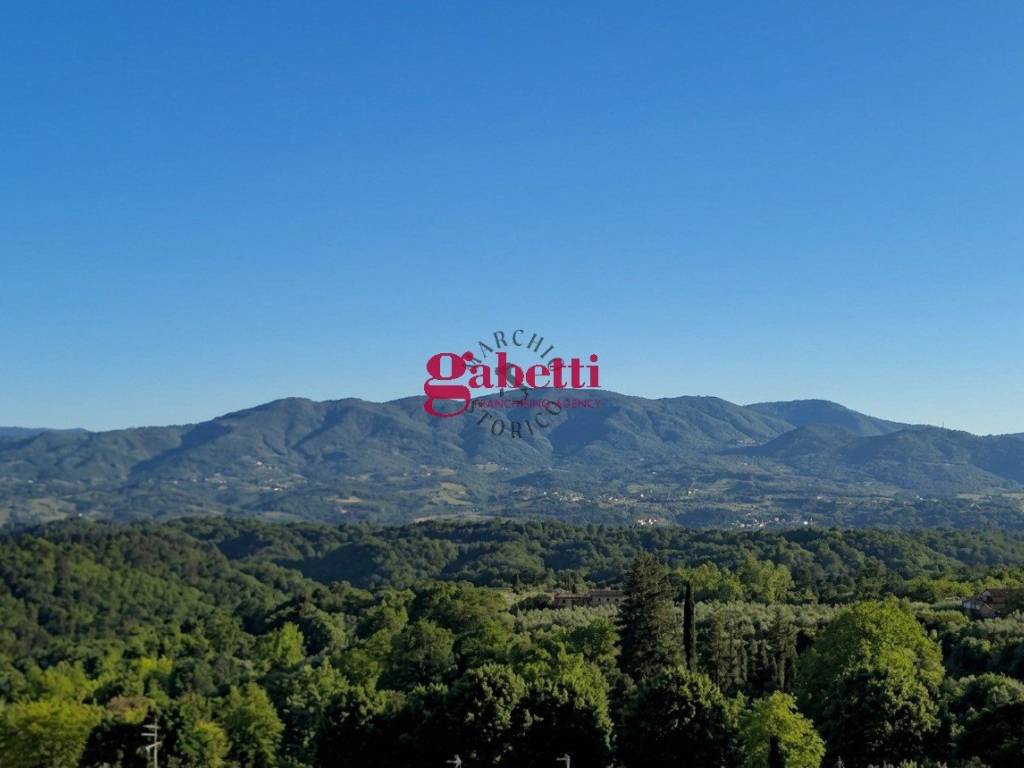 Vista