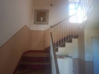Scala
