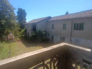 Vista