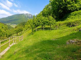 Dettagli
