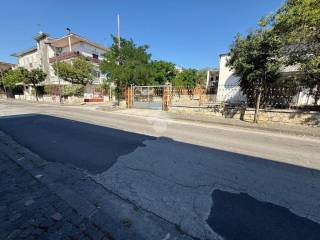Zona