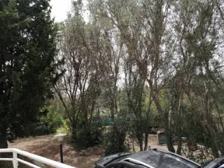 Zona