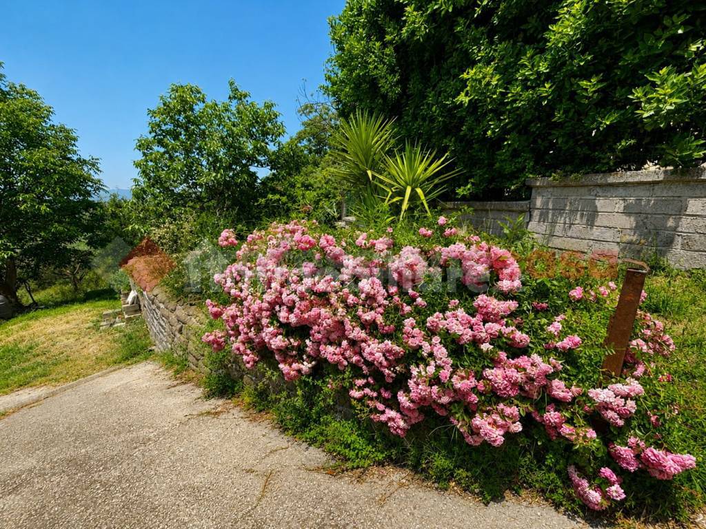 Giardino