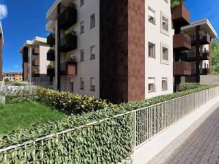 Zona