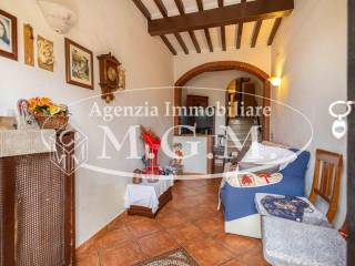 Ingresso