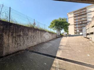 Zona