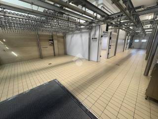 Magazzino