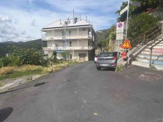 Zona