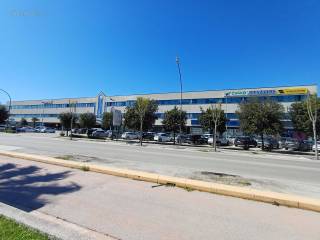 Zona