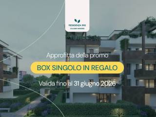 Zona