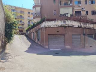 Ingresso