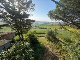 Vista
