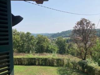 Vista