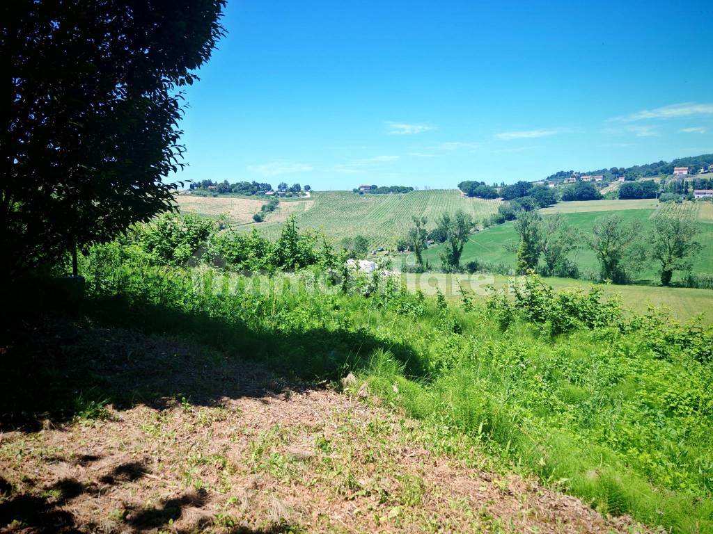 Terreno