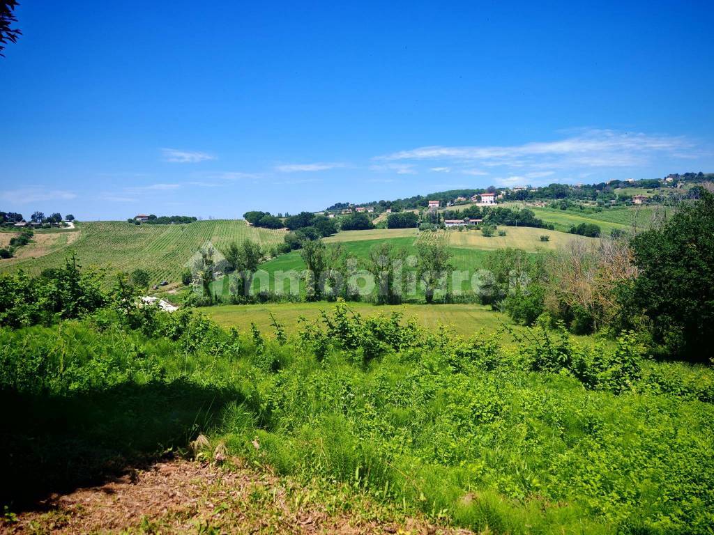 Terreno