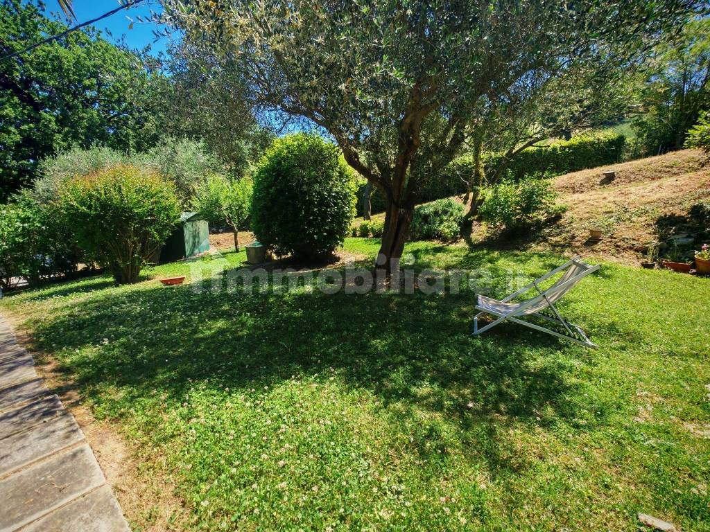 Giardino
