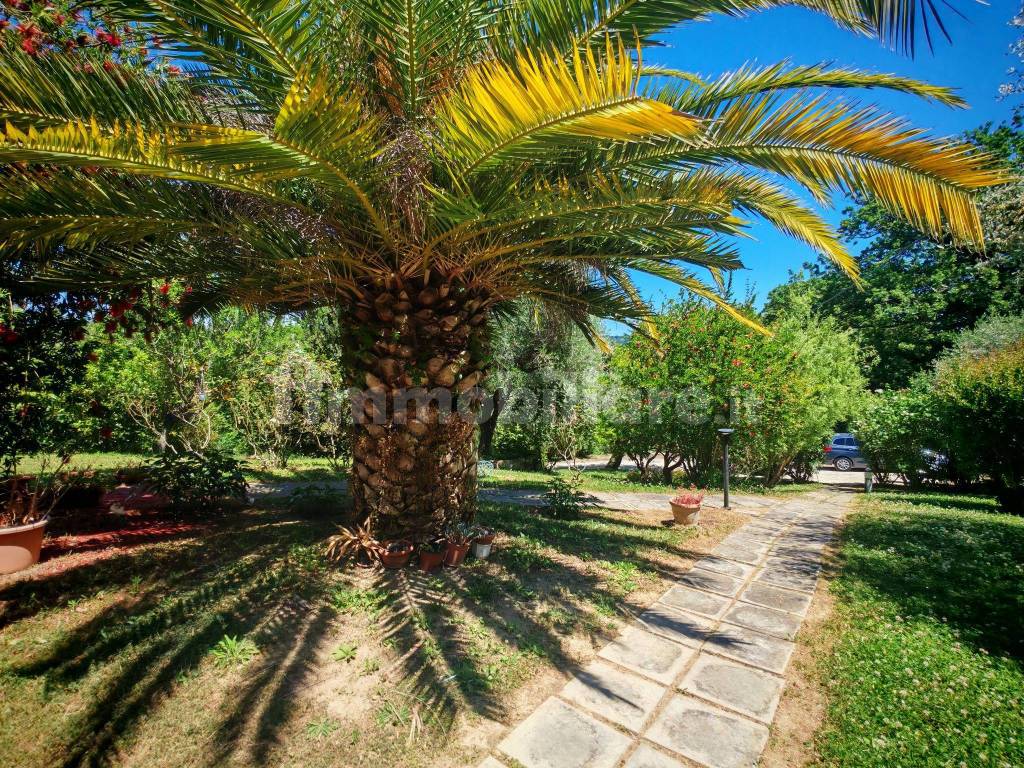 Giardino