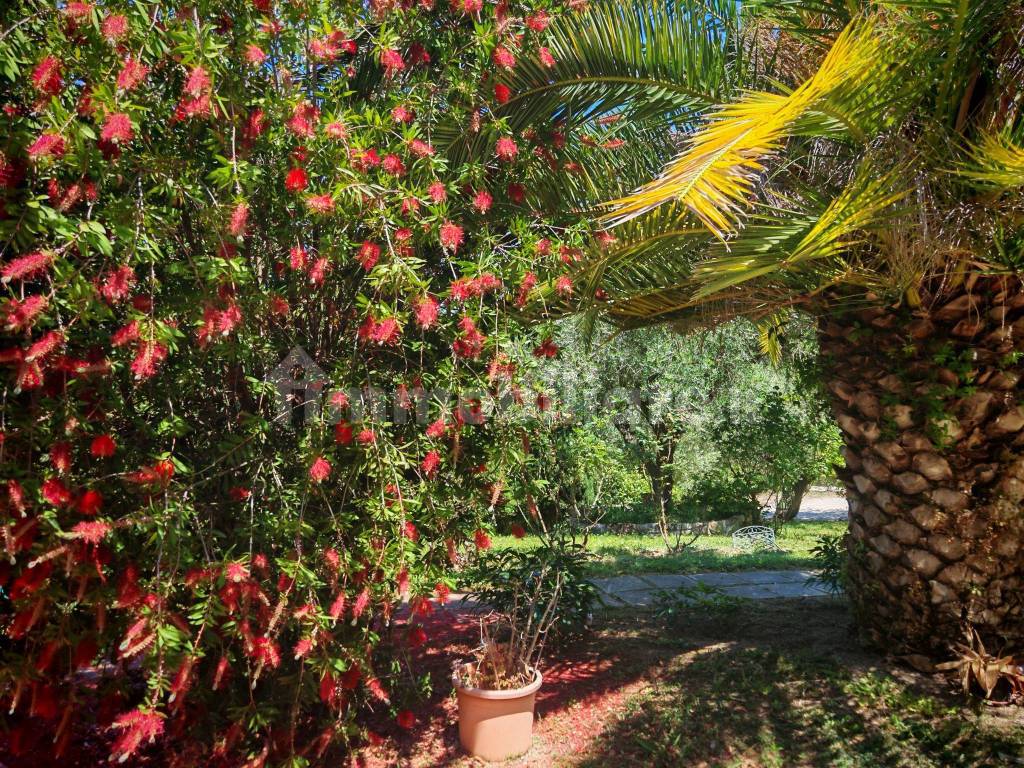 Giardino