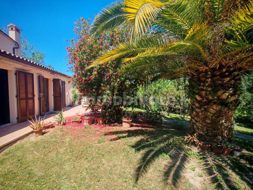Giardino