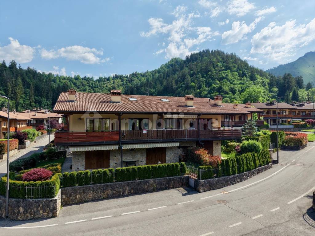 Vista