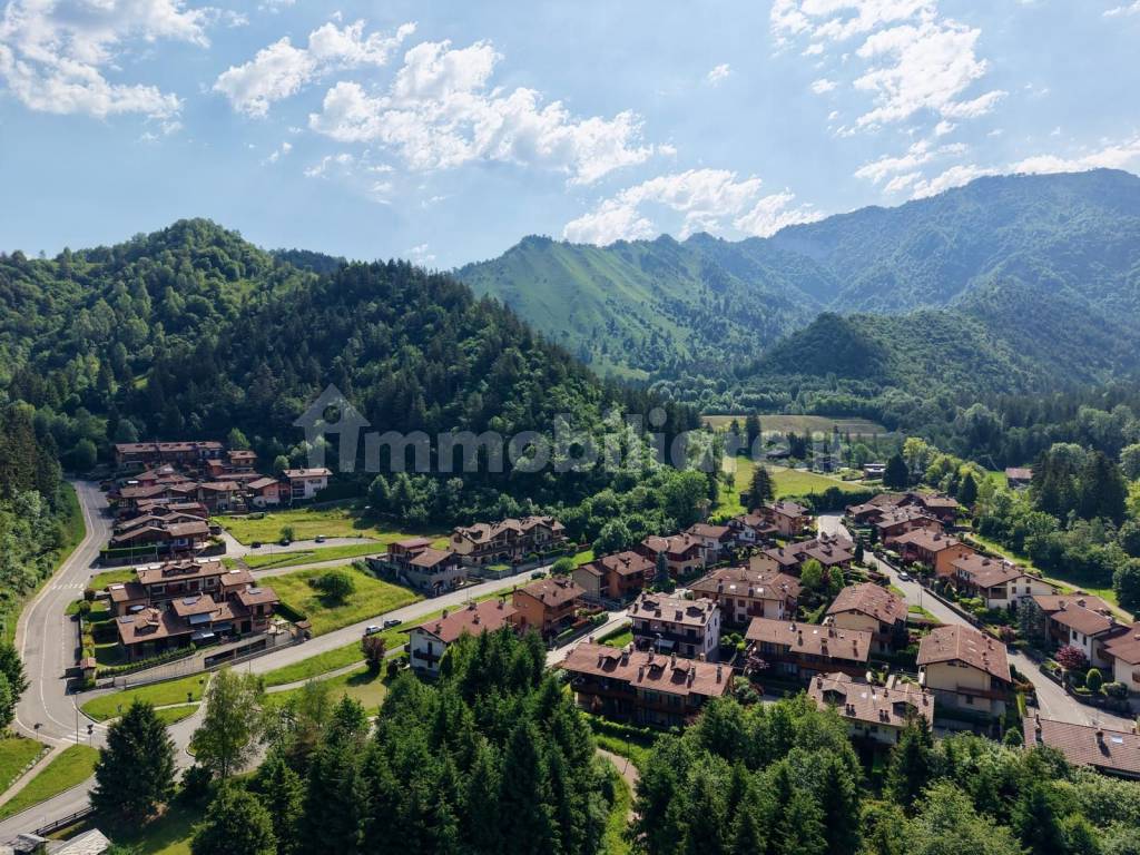 Vista