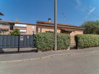 Zona