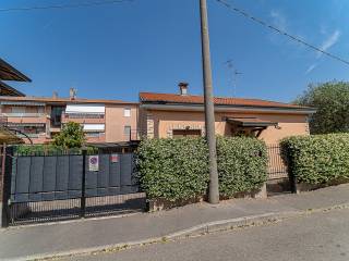 Zona