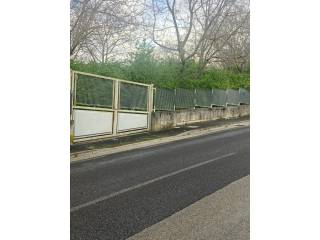 Zona